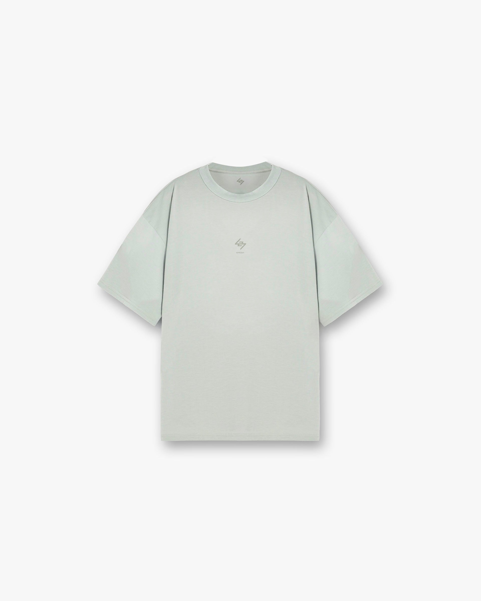 247 Oversized T-Shirt - Sage
