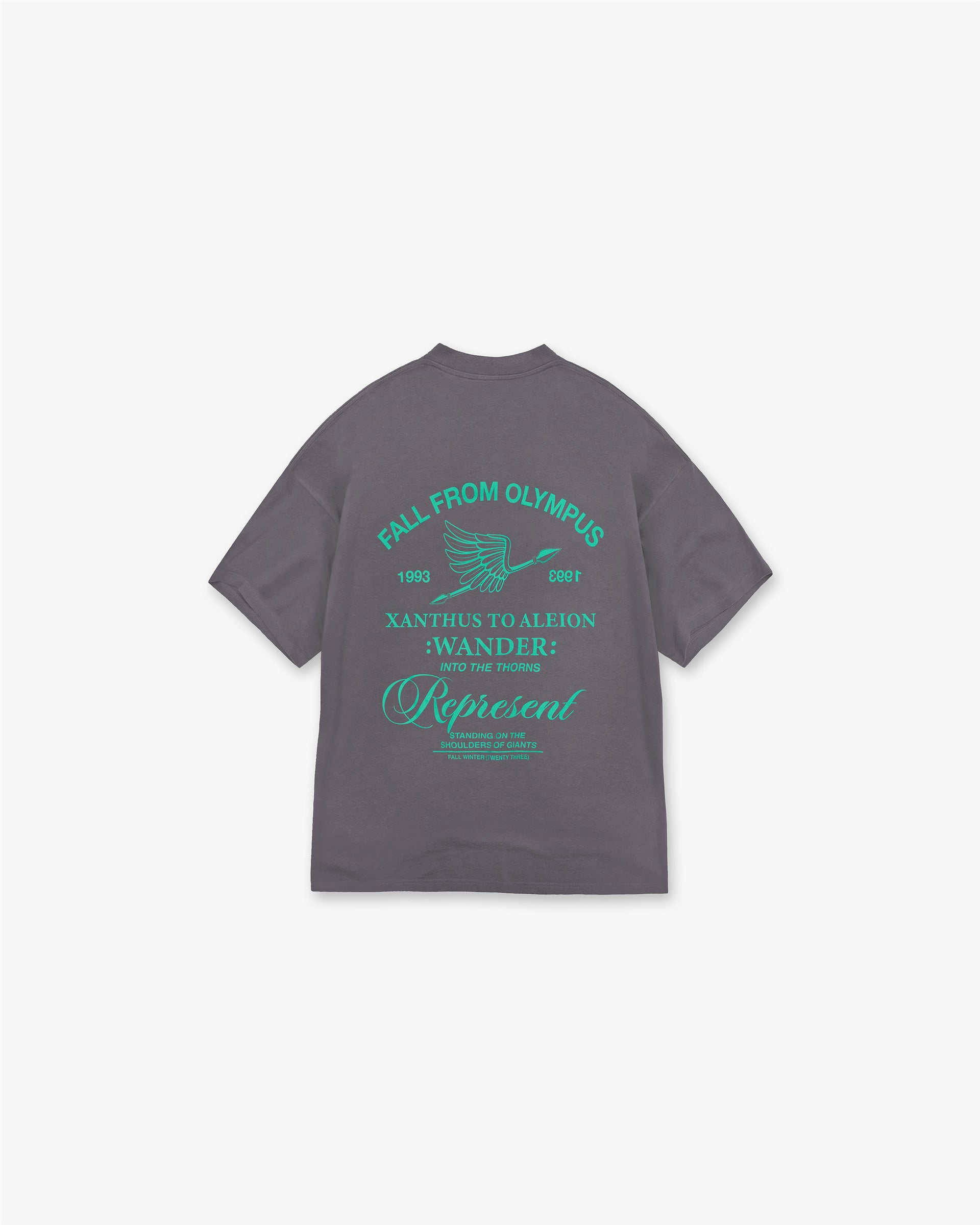 Fall From Olympus T-Shirt | Storm T-Shirts FW23 | Represent Clo